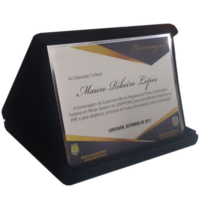 Placas de homenagens personalizadas com kit estojo Placas de homenagens personalizadas com kit estojo